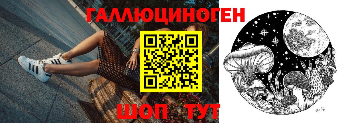 Галлюциногенные грибы MAGIC MUSHROOMS  Вход с VPN  Мценск  наркошоп  Галлюциногенные грибы мицелий 